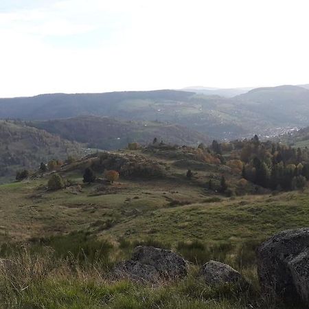 Chalet 3 Etoiles A Gerardmer. מראה חיצוני תמונה