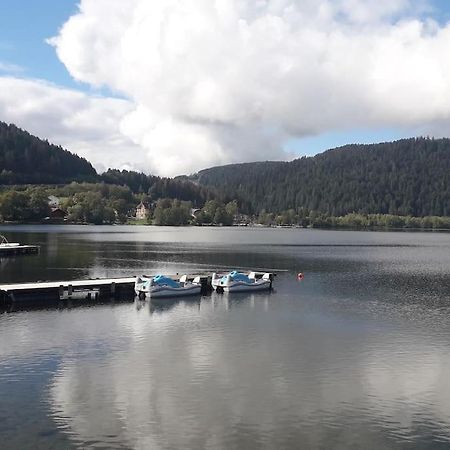 Chalet 3 Etoiles A Gerardmer. מראה חיצוני תמונה