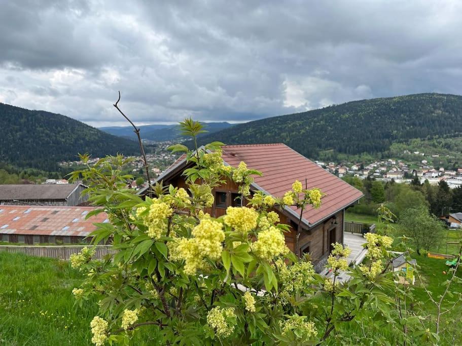 Chalet 3 Etoiles A Gerardmer. מראה חיצוני תמונה