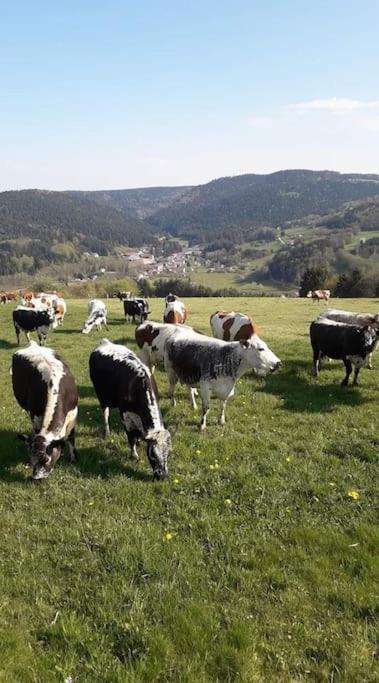 Chalet 3 Etoiles A Gerardmer. מראה חיצוני תמונה