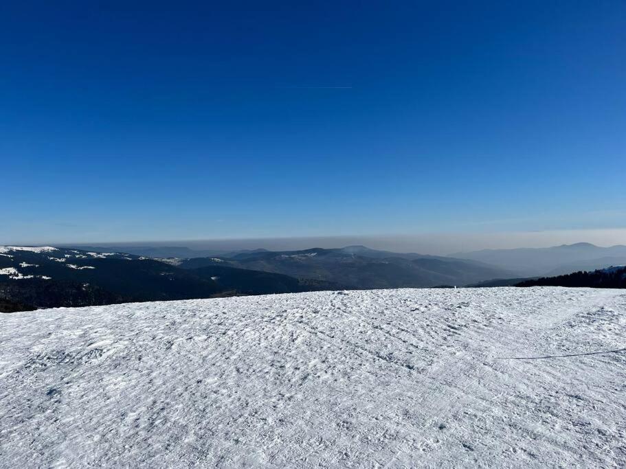 Chalet 3 Etoiles A Gerardmer. מראה חיצוני תמונה