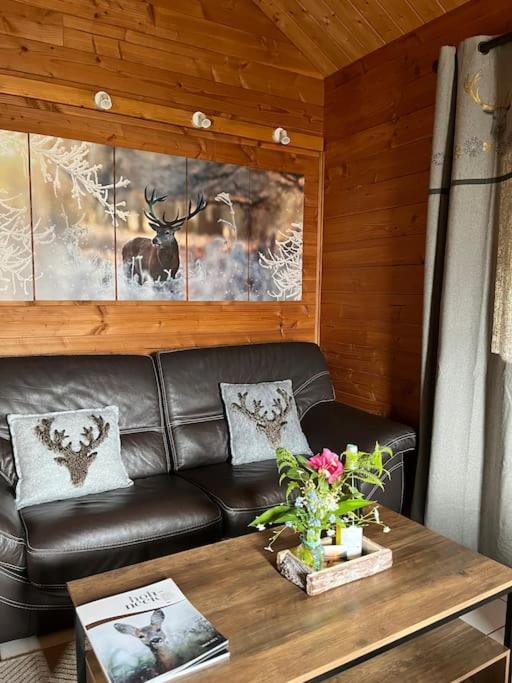 Chalet 3 Etoiles A Gerardmer. מראה חיצוני תמונה