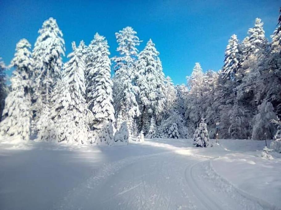 Chalet 3 Etoiles A Gerardmer. מראה חיצוני תמונה