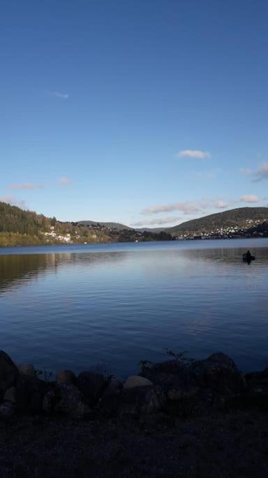Chalet 3 Etoiles A Gerardmer. מראה חיצוני תמונה