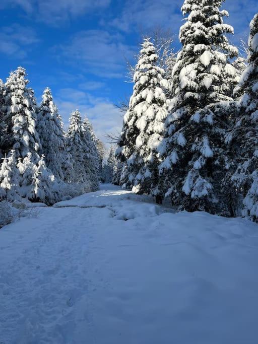 Chalet 3 Etoiles A Gerardmer. מראה חיצוני תמונה